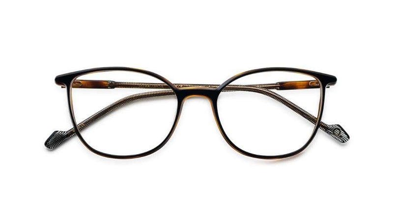 Etnia Barcelona ULTRA LIGHT 02 Brillestel (Form: Cat Eye - Farve: Sort)