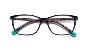 Etnia Barcelona WEIMAR 22 Brillestel (Form: Andet - Farve: Sort)