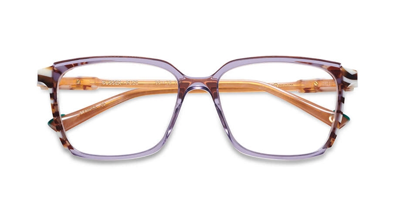 Etnia Barcelona SUSSEX Brillestel (Form: Firkantet - Farve: Lilla)
