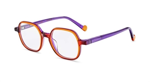 Etnia Barcelona CARD Brillestel (Form: Panto - Farve: Orange)