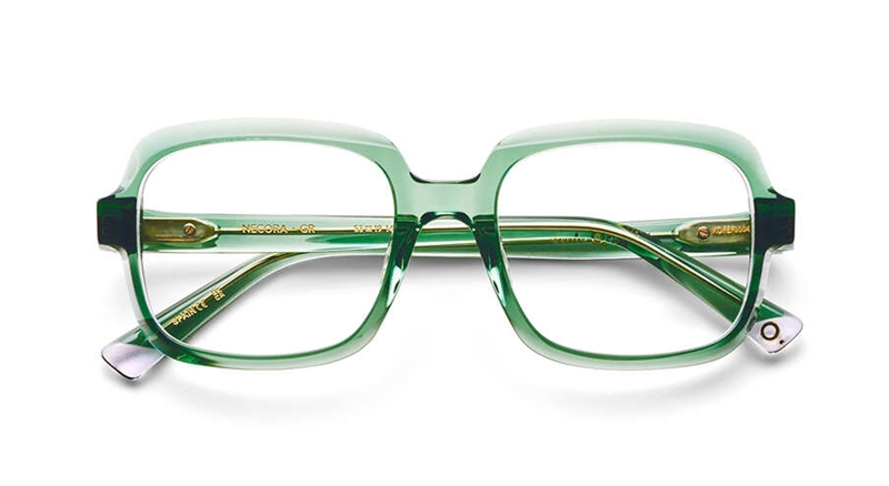 Etnia Barcelona NECORA Brillestel (Form: Panto - Farve: Grøn)