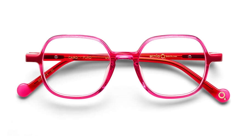 Etnia Barcelona CARD Brillestel (Form: Panto - Farve: Lilla)