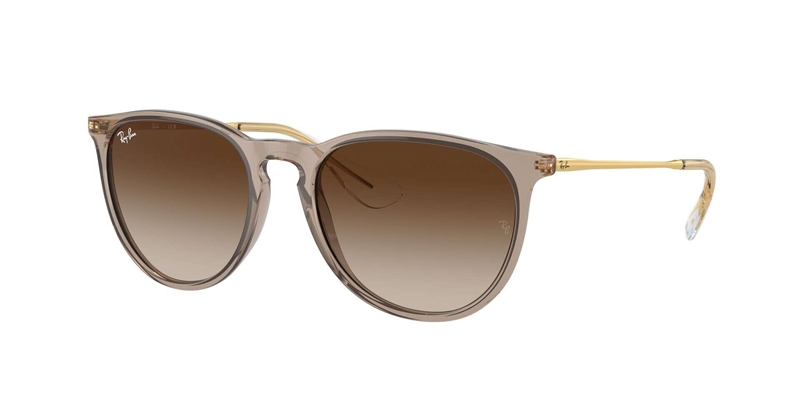 RB 0RB4171 Solbrille (Form: Panto - Farve: Brun)