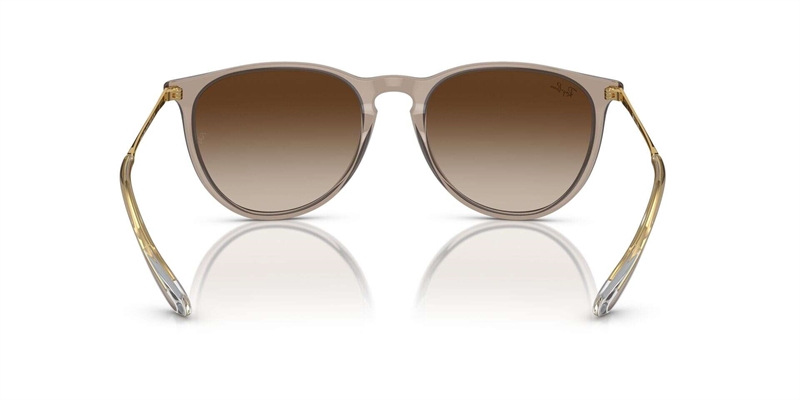RB 0RB4171 Solbrille (Form: Panto - Farve: Brun)