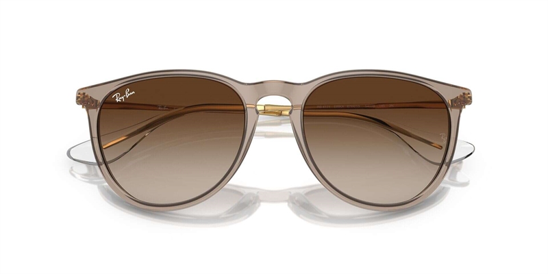 RB 0RB4171 Solbrille (Form: Panto - Farve: Brun)