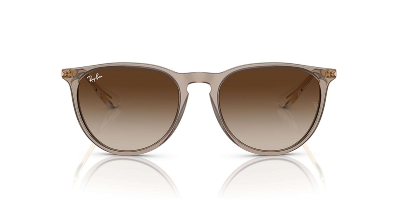 RB 0RB4171 Solbrille (Form: Panto - Farve: Brun)