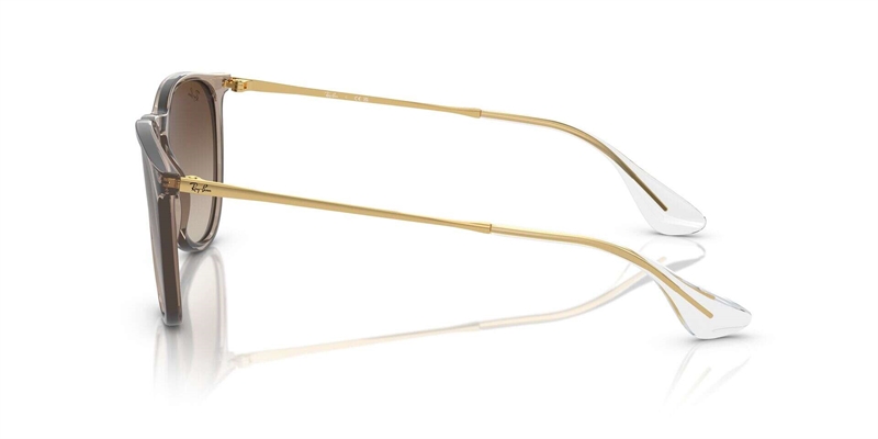 RB 0RB4171 Solbrille (Form: Panto - Farve: Brun)