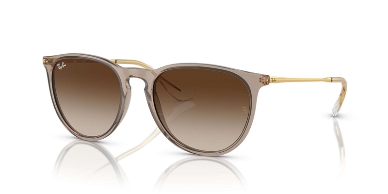 RB 0RB4171 Solbrille (Form: Panto - Farve: Brun)