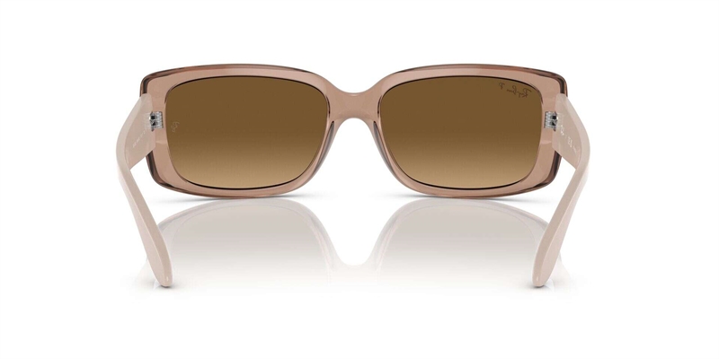RAY-BAN 0RB4389 Solbrille (Form: Andet - Farve: Brun)