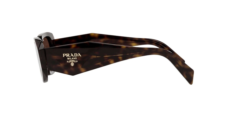 PRADA 0PR 17WS Solbrille (Form: Firkantet - Farve: Havana)