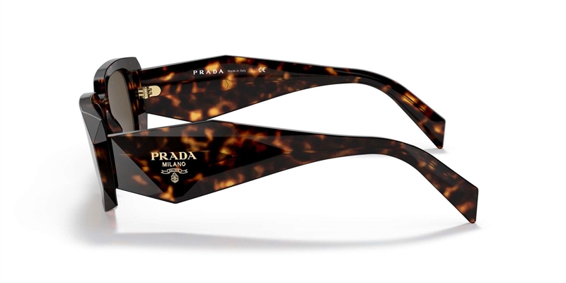 PRADA 0PR 17WS Solbrille (Form: Firkantet - Farve: Havana)