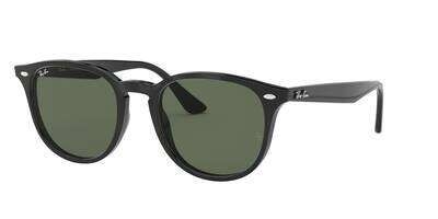 RB 0RB4259 Solbrille (Form: Panto - Farve: Sort)