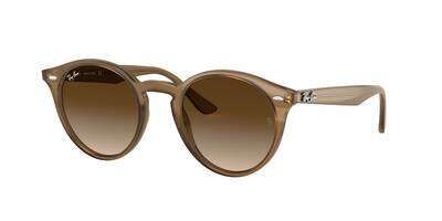 RB 0RB2180 Solbrille (Form: Panto - Farve: Andet)