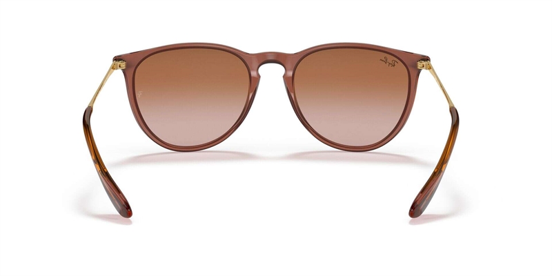 RAY-BAN 0RB4171 Solbrille (Form: Panto - Farve: Brun)
