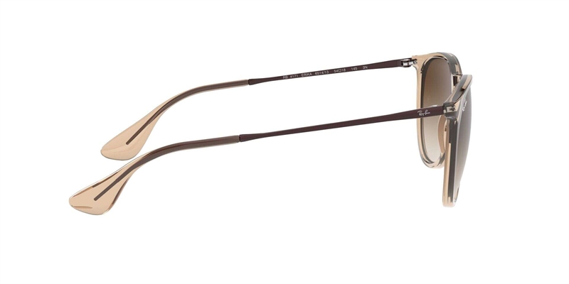 RAY-BAN 0RB4171 Solbrille (Form: Panto - Farve: Brun)