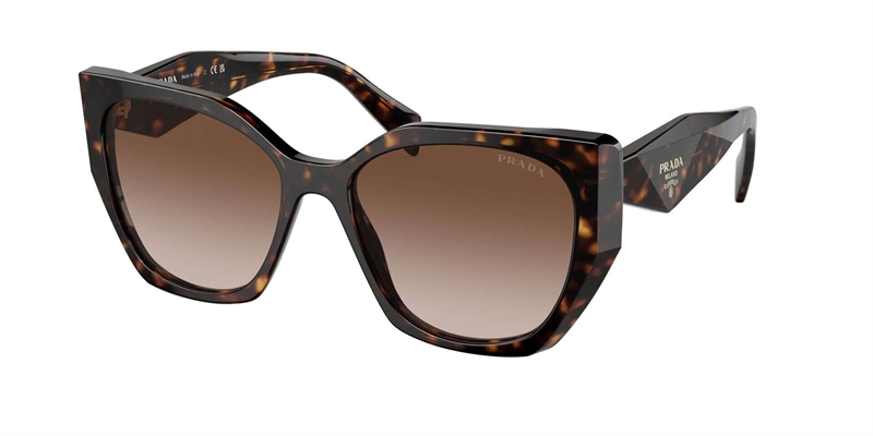 PRADA 0PR 19ZS Solbrille (Form: Andet - Farve: Havana)