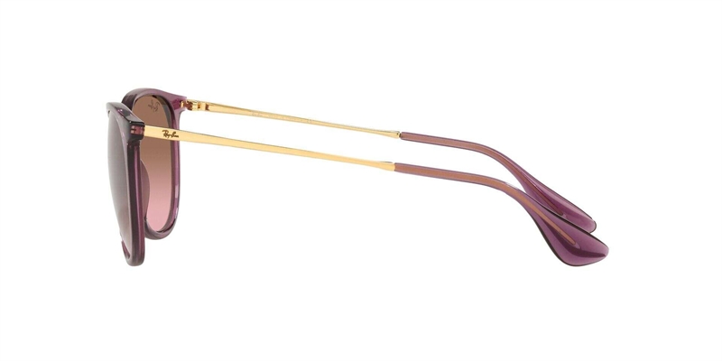 RAY-BAN 0RB4171 Solbrille (Form: Panto - Farve: Transparent)