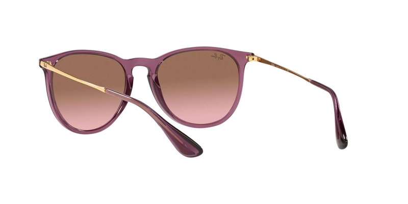 RAY-BAN 0RB4171 Solbrille (Form: Panto - Farve: Transparent)