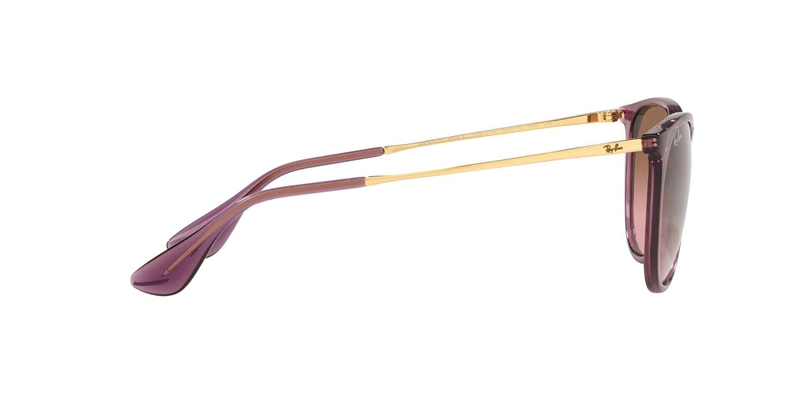 RAY-BAN 0RB4171 Solbrille (Form: Panto - Farve: Transparent)