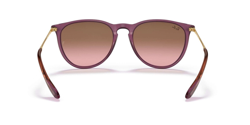 RAY-BAN 0RB4171 Solbrille (Form: Panto - Farve: Transparent)
