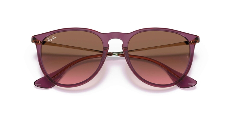 RAY-BAN 0RB4171 Solbrille (Form: Panto - Farve: Transparent)