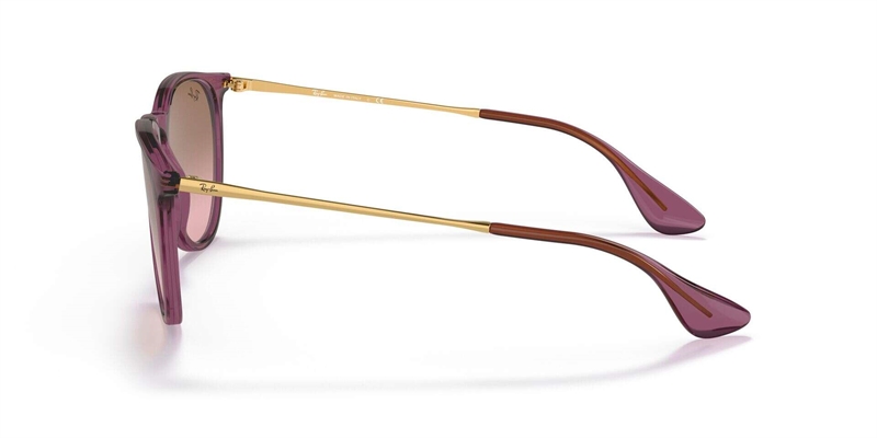 RAY-BAN 0RB4171 Solbrille (Form: Panto - Farve: Transparent)