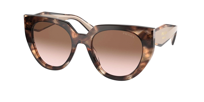 PRADA 0PR 14WS Solbrille (Form: Cat Eye - Farve: Havana)