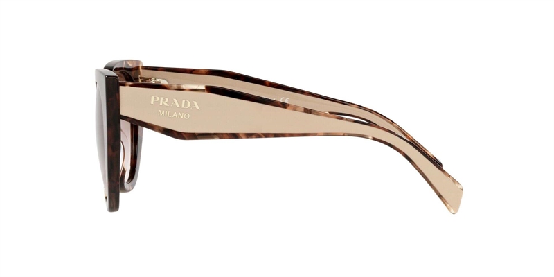 PRADA 0PR 14WS Solbrille (Form: Cat Eye - Farve: Havana)