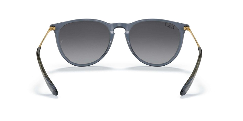 RAY-BAN 0RB4171 Solbrille (Form: Panto - Farve: Blå)