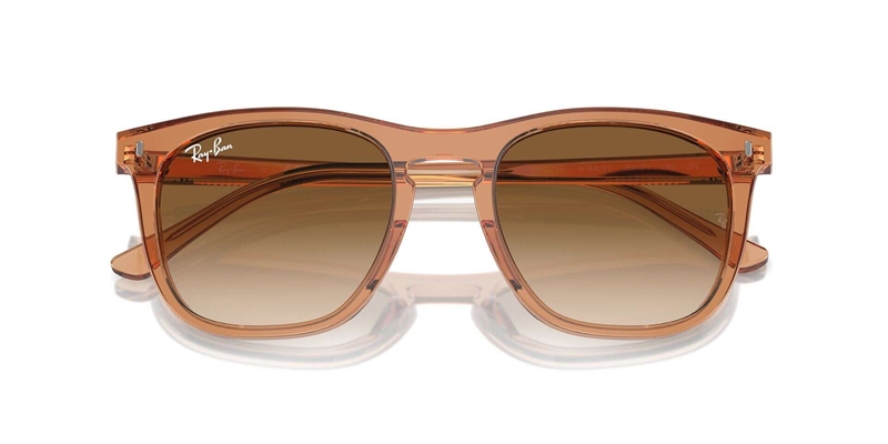 RB 0RB2210 Solbrille (Form: Firkantet - Farve: Brun)