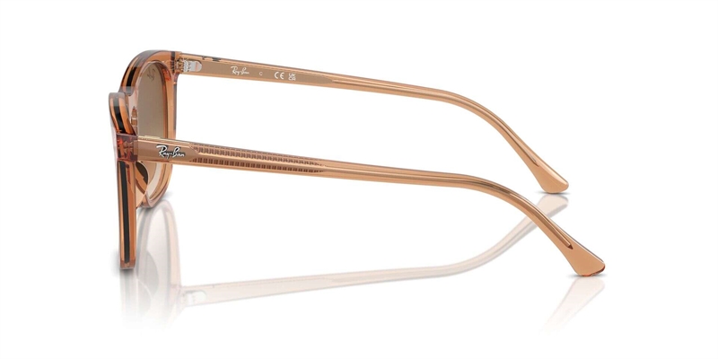 RB 0RB2210 Solbrille (Form: Firkantet - Farve: Brun)