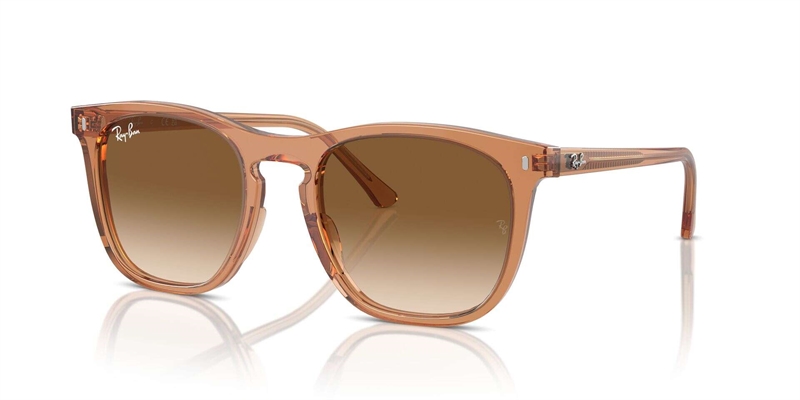 RB 0RB2210 Solbrille (Form: Firkantet - Farve: Brun)