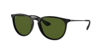 RB 0RB4171 Solbrille (Form: Panto - Farve: Sort)
