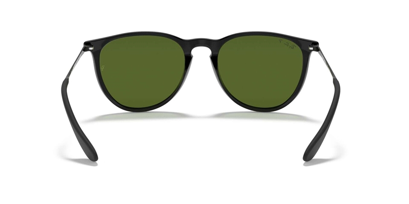 RB 0RB4171 Solbrille (Form: Panto - Farve: Sort)