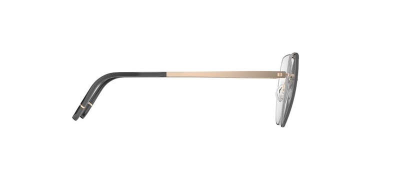 Silhouette Momentum Aurum Brillestel (Form: Cat Eye - Farve: Guld)