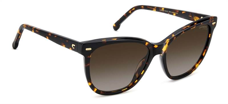 CARRERA 3043/S Solbrille (Form: Firkantet - Farve: Havana)