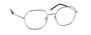 nine eyewear 2352 Brillestel (Form: Panto - Farve: Guld)