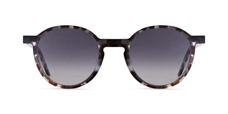 MOREL 90010C Solbrille (Form: Panto - Farve: Brun)