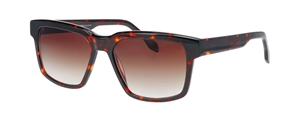 ProDesign GRANDD 5S Solbrille (Form: Firkantet - Farve: Brun)