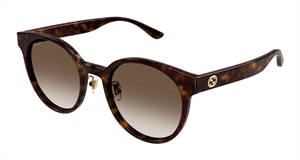 Gucci GG1339SK Solbrille (Form: Rund - Farve: Havana)